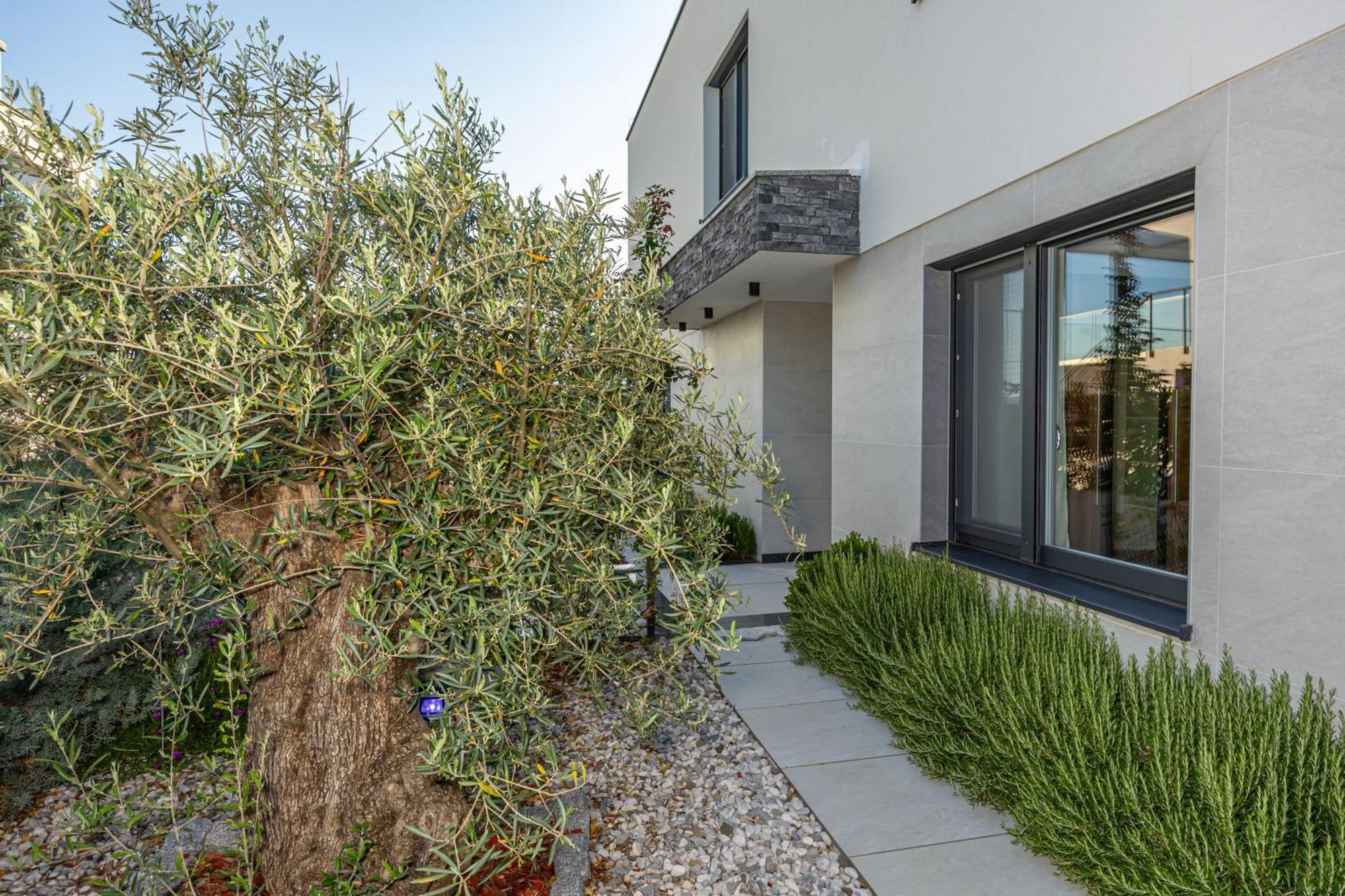 Luxury Villas White Sails Pinezići Eksteriør bilde